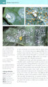 Garden Pests of Brirain & Europe - Michael Chinery 2010